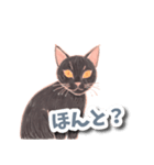 色鉛筆ねこ 黒猫（個別スタンプ：28）