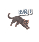 色鉛筆ねこ 黒猫（個別スタンプ：31）