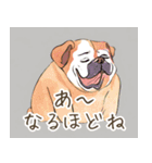 多様な犬種のLINEスタンプ（個別スタンプ：4）