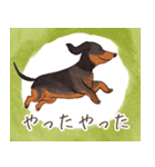 多様な犬種のLINEスタンプ（個別スタンプ：14）