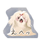 多様な犬種のLINEスタンプ（個別スタンプ：15）