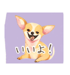 多様な犬種のLINEスタンプ（個別スタンプ：16）