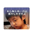 ファミリースタンプ丼ビニっち（個別スタンプ：24）