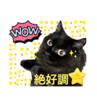 黒猫 ルナ院長139にゃんめ（個別スタンプ：6）