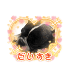 はんぺんさんちのブルちゃん6（個別スタンプ：6）
