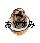 豆可愛い❤（個別スタンプ：2）