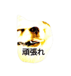 豆可愛い❤（個別スタンプ：7）