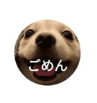 豆可愛い❤（個別スタンプ：8）