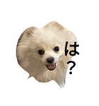 豆可愛い❤（個別スタンプ：9）