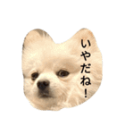 豆可愛い❤（個別スタンプ：10）