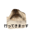 豆可愛い❤（個別スタンプ：13）