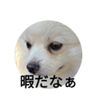 豆可愛い❤（個別スタンプ：16）