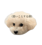 うどんのスタンプだよ（個別スタンプ：1）
