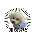うどんのスタンプだよ（個別スタンプ：6）