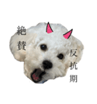 うどんのスタンプだよ（個別スタンプ：7）
