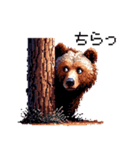 ドット絵 クマ 日常会話 40種 ヒグマ（個別スタンプ：31）