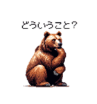 ドット絵 クマ 日常会話 40種 ヒグマ（個別スタンプ：34）