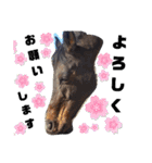 馬大好きHorse（個別スタンプ：8）