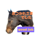 馬大好きHorse（個別スタンプ：20）