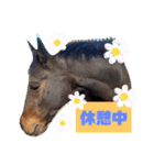 馬大好きHorse（個別スタンプ：22）