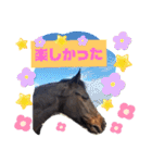 馬大好きHorse（個別スタンプ：23）