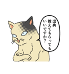 歴史好きの猫（個別スタンプ：1）