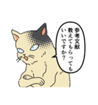 歴史好きの猫（個別スタンプ：2）