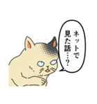 歴史好きの猫（個別スタンプ：8）