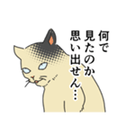 歴史好きの猫（個別スタンプ：11）