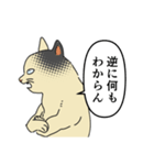 歴史好きの猫（個別スタンプ：14）