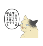 歴史好きの猫（個別スタンプ：20）