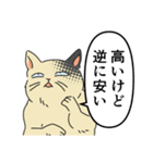 歴史好きの猫（個別スタンプ：28）