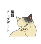 歴史好きの猫（個別スタンプ：30）