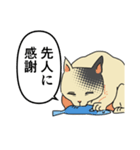 歴史好きの猫（個別スタンプ：31）