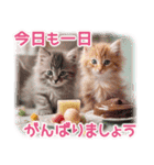 気持ちを伝える♡猫とsweets♡バレンタイン（個別スタンプ：2）