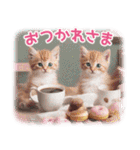 気持ちを伝える♡猫とsweets♡バレンタイン（個別スタンプ：3）