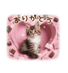 気持ちを伝える♡猫とsweets♡バレンタイン（個別スタンプ：6）