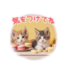 気持ちを伝える♡猫とsweets♡バレンタイン（個別スタンプ：14）