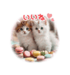 気持ちを伝える♡猫とsweets♡バレンタイン（個別スタンプ：16）