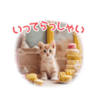 気持ちを伝える♡猫とsweets♡バレンタイン（個別スタンプ：22）