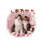 気持ちを伝える♡猫とsweets♡バレンタイン（個別スタンプ：31）