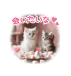 気持ちを伝える♡猫とsweets♡バレンタイン（個別スタンプ：34）