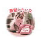 気持ちを伝える♡猫とsweets♡バレンタイン（個別スタンプ：35）