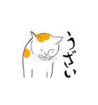 負けないねこ（個別スタンプ：13）