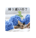 テヌレオポンVol.4家族の日常スタンプ（個別スタンプ：10）