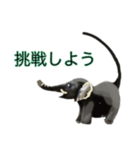 応援するゾウ（個別スタンプ：12）