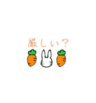 文字がメインのウサギ（個別スタンプ：31）