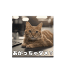 動く 働く猫 社会人 社畜（個別スタンプ：2）