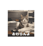 動く 働く猫 社会人 社畜（個別スタンプ：3）