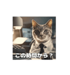 動く 働く猫 社会人 社畜（個別スタンプ：4）